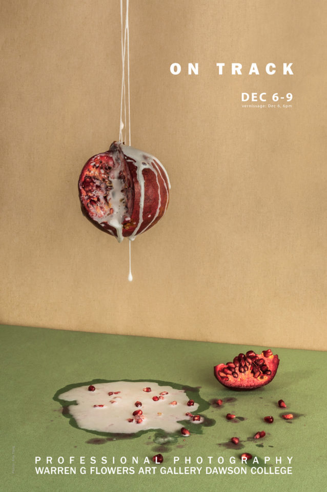 Dec Pro Photo Poster – Web