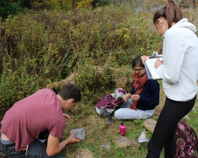 Students in Arundel
