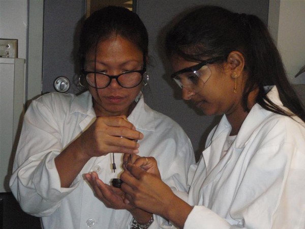 Students working in labs